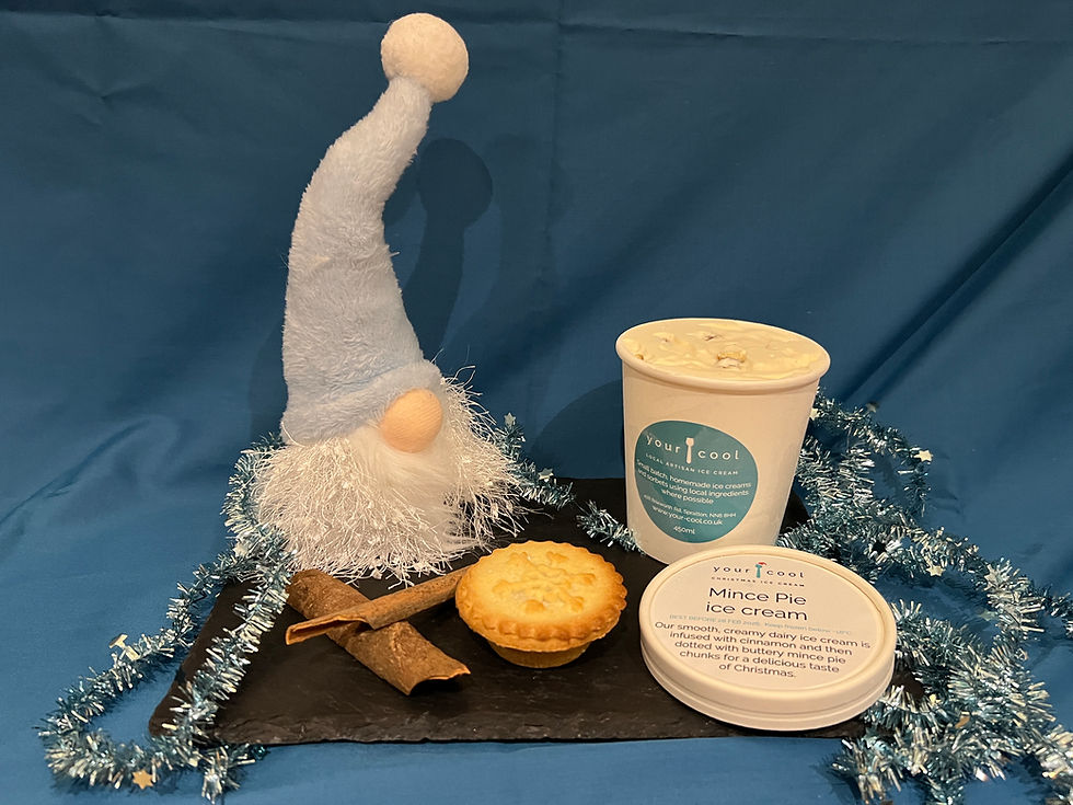 Mince Pie ice cream (450ml tub)