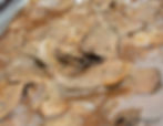 Beef n Gravy 1