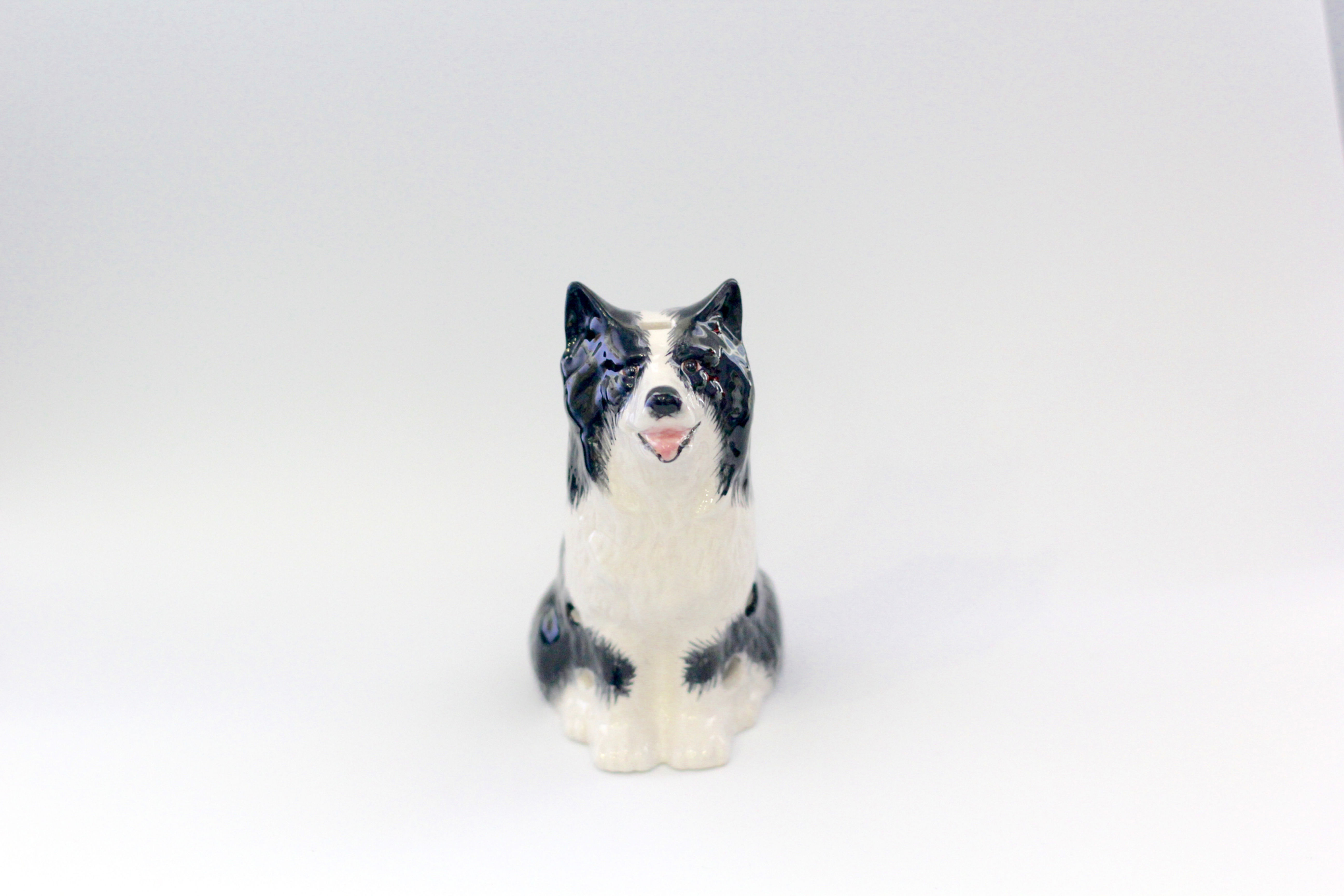 6 holes Border Collie