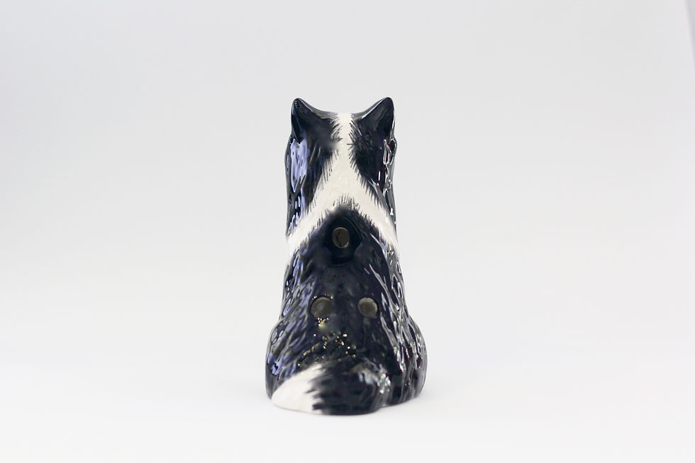 Thumbnail: 6 holes Border Collie