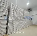 Câmara Fria para Feijão Carioca: Preserve a Cor e Valorize sua Safra