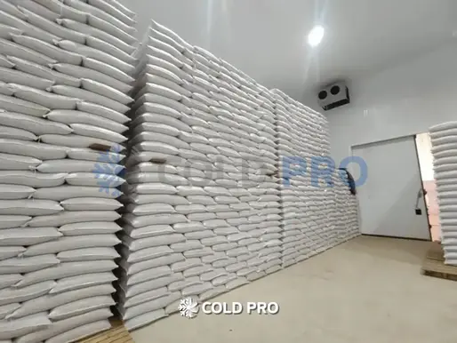 Câmara Fria para Feijão Carioca: Preserve a Cor e Valorize sua Safra