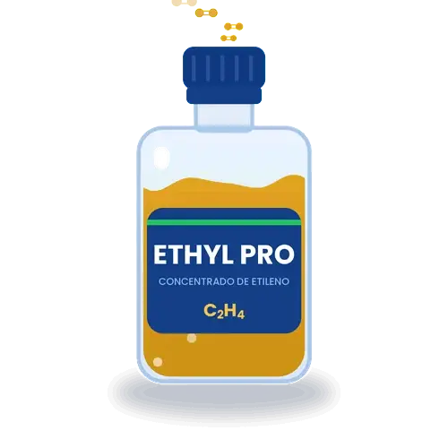15-ethyl-pro-concentrado-500.webp