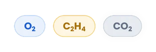 01-gases-o2-c2h4-co2.webp