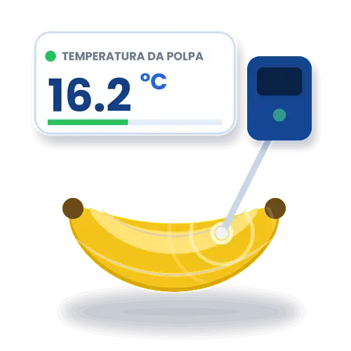 11-temperatura-polpa-banana-500.webp