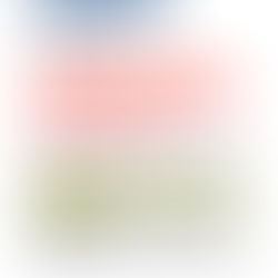 La Marche de la Fierté Française INTERDITE