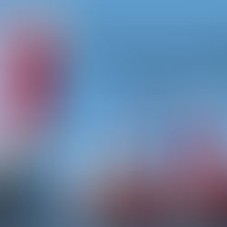 Marche de la Fierté Française