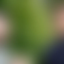 Un clown au patronat...