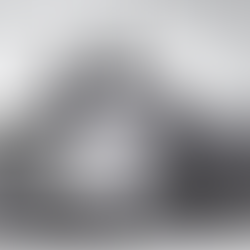 Sans Soucy (suite...)