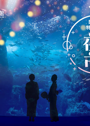 7/25(土)、8/1(土)新江ノ島水族館
「えのすい夜市」に参加します