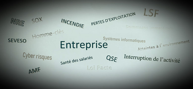 IMAGE RISQUES_InPixio.jpg