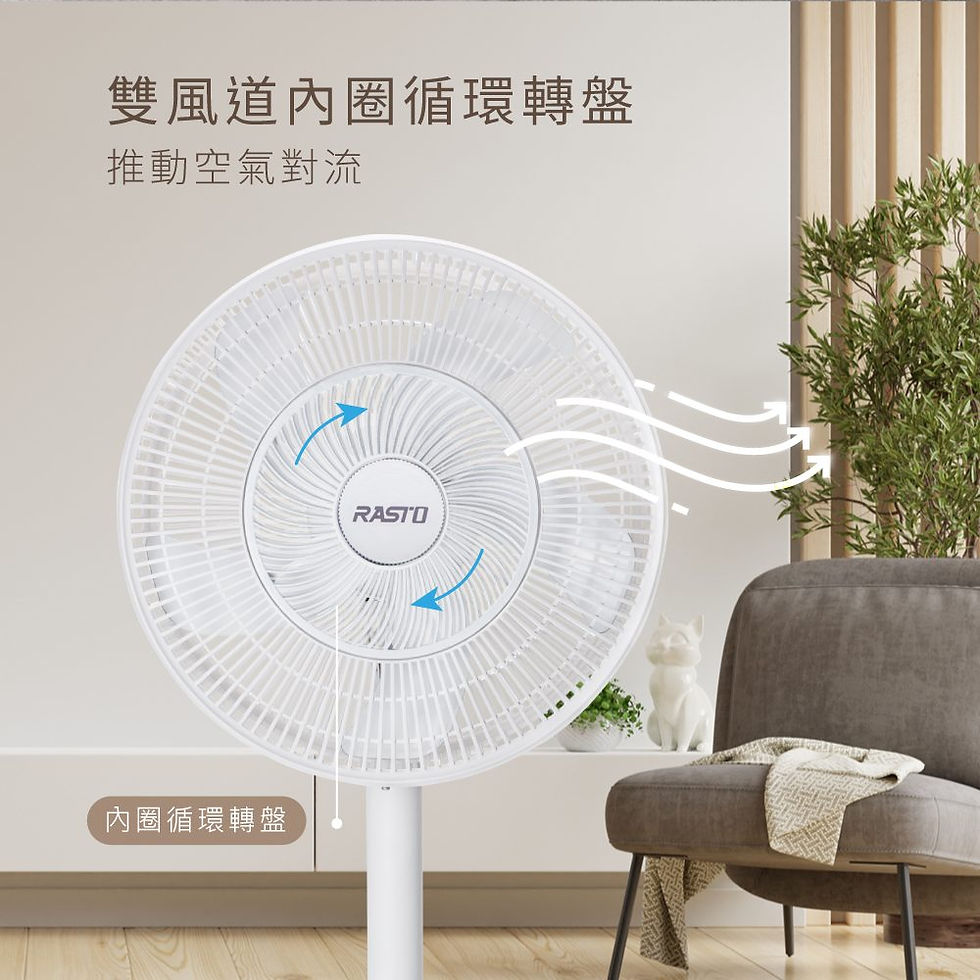 縮圖：RASTO AF6 14吋雙風道循環立扇
