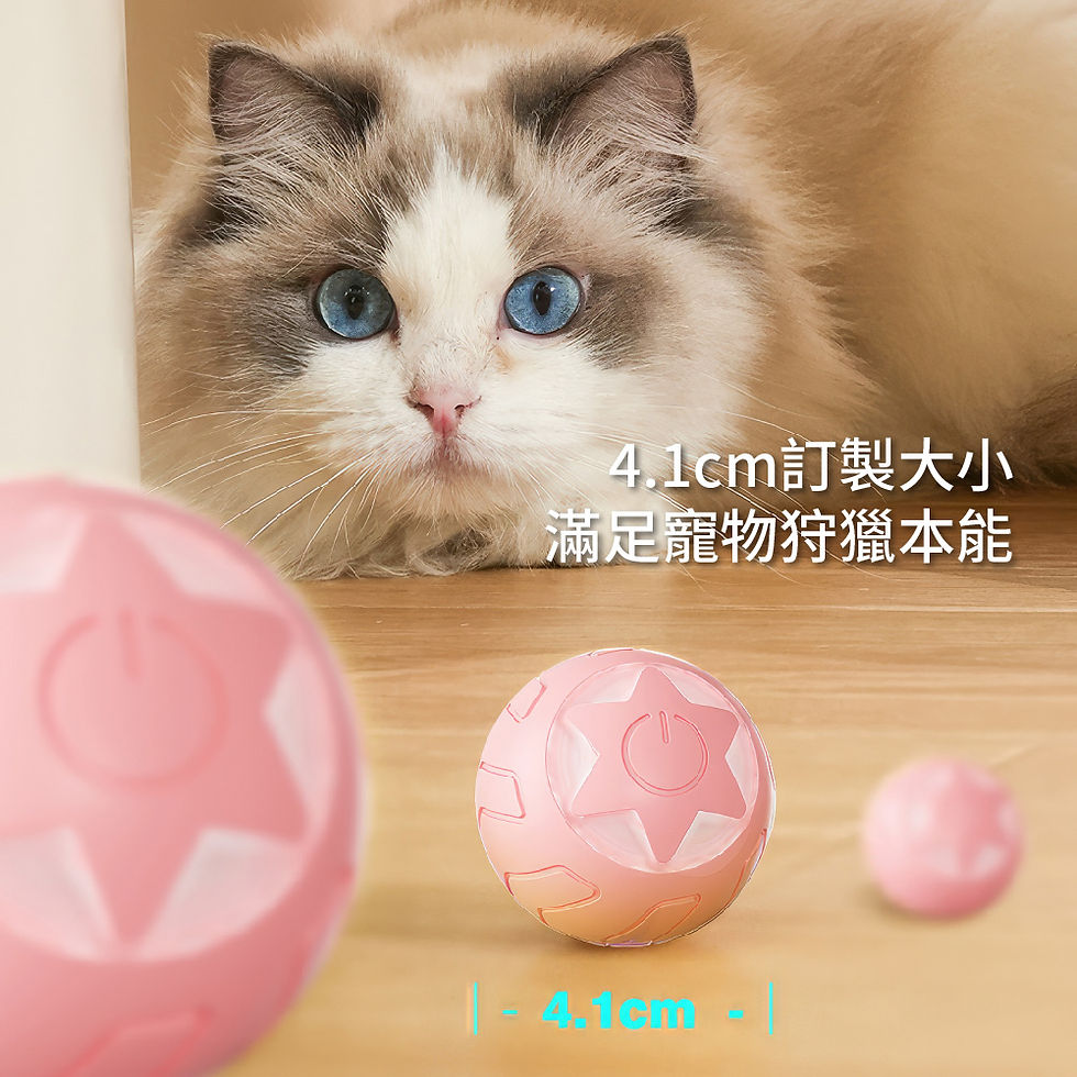 縮圖：AIWO艾窩 寵物星星滾滾球