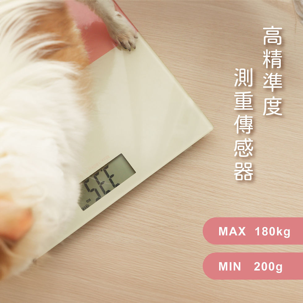 縮圖：KINYO DS6573 日系甜美造型體重計