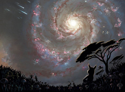 Willow the Wonderer picture books are stories about wisdom and knowledge. Here's why.