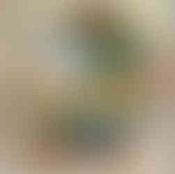 Willow the Wonderer - Book II, Little girl reading Honey Time - best new children's books