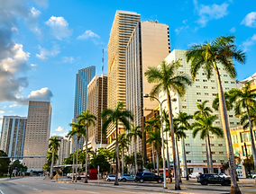 Captura de pantalla 2025-04-16 a la(s) 3.10.23 p.m..png