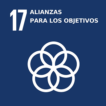 1200px-Sustainable_Development_Goal_17-es (1).png