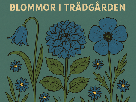 5 Populära Blå Blommor i Trädgården