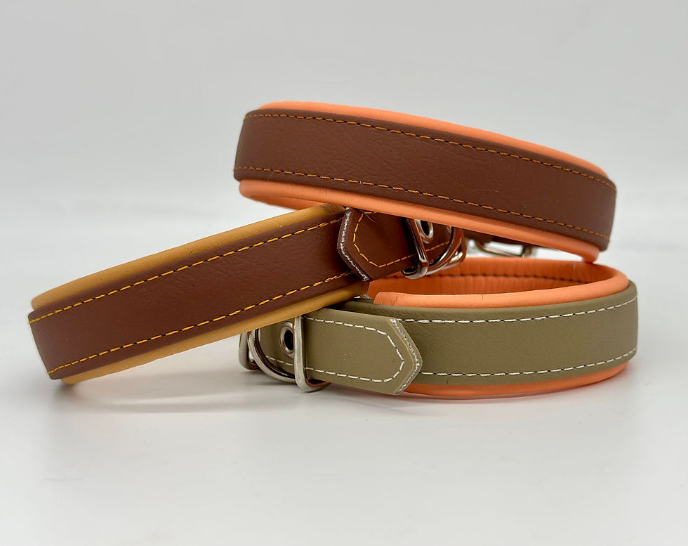 Premium Halsband (mini)