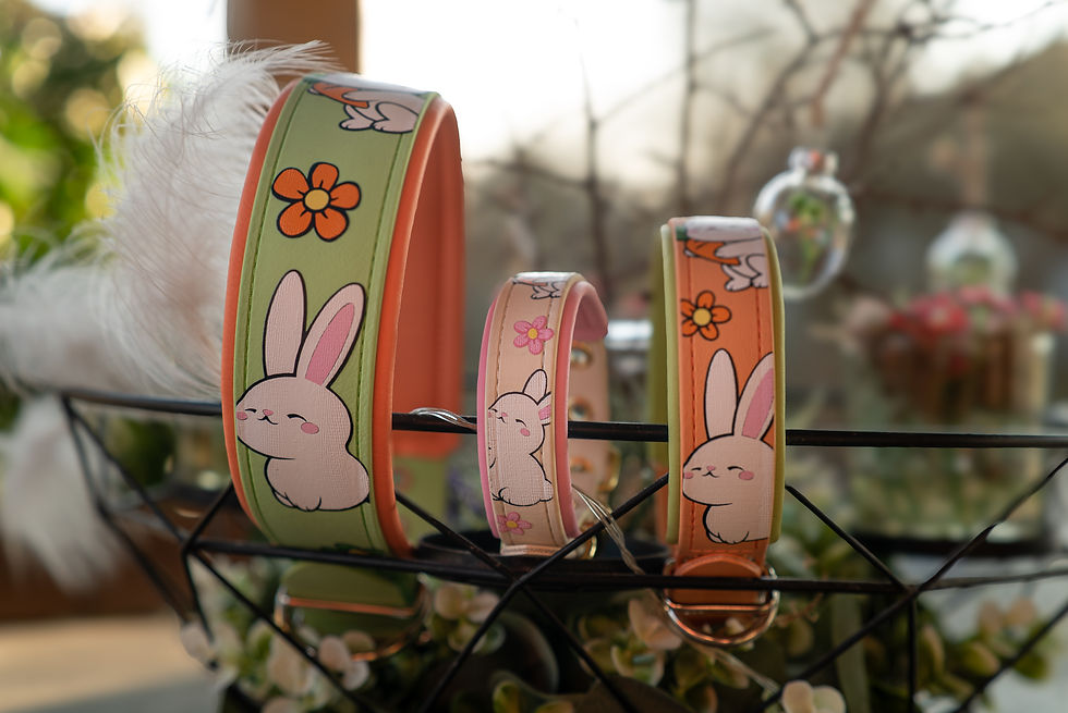 Miniaturbild: Bunny Bliss Halsband (medium)