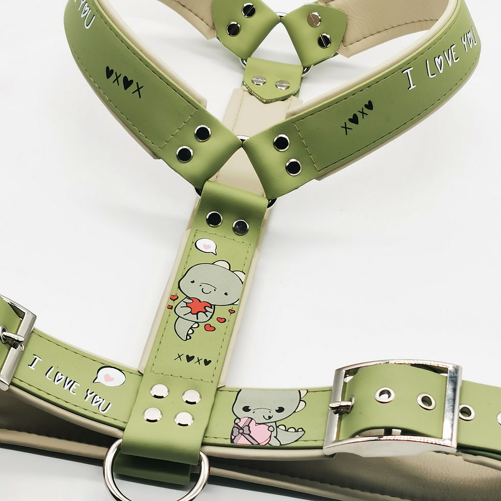 Lovely Dino Geschirr (medium)