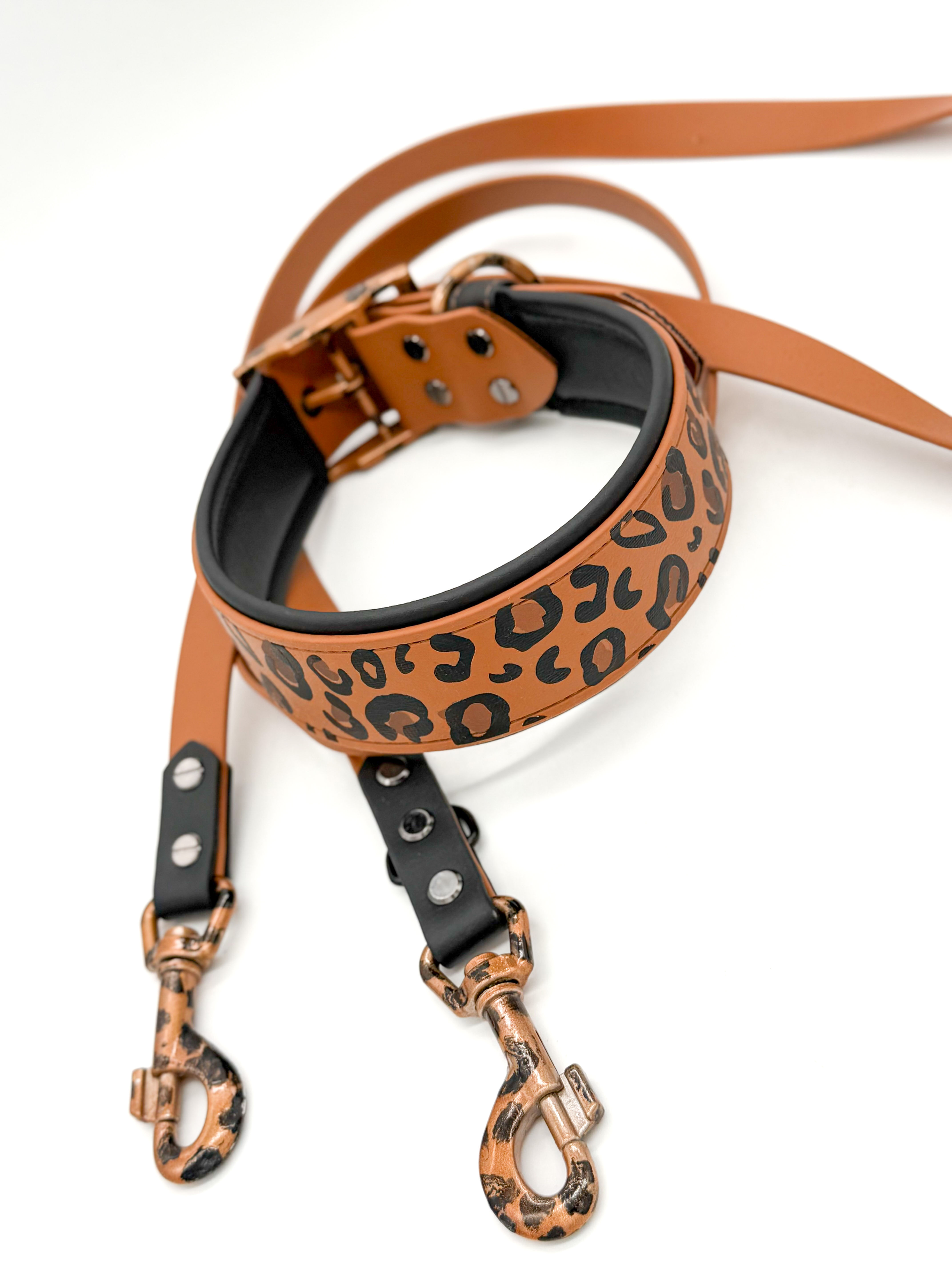 Leo Special Halsband (medium) HU: 44-52 cm + Leine