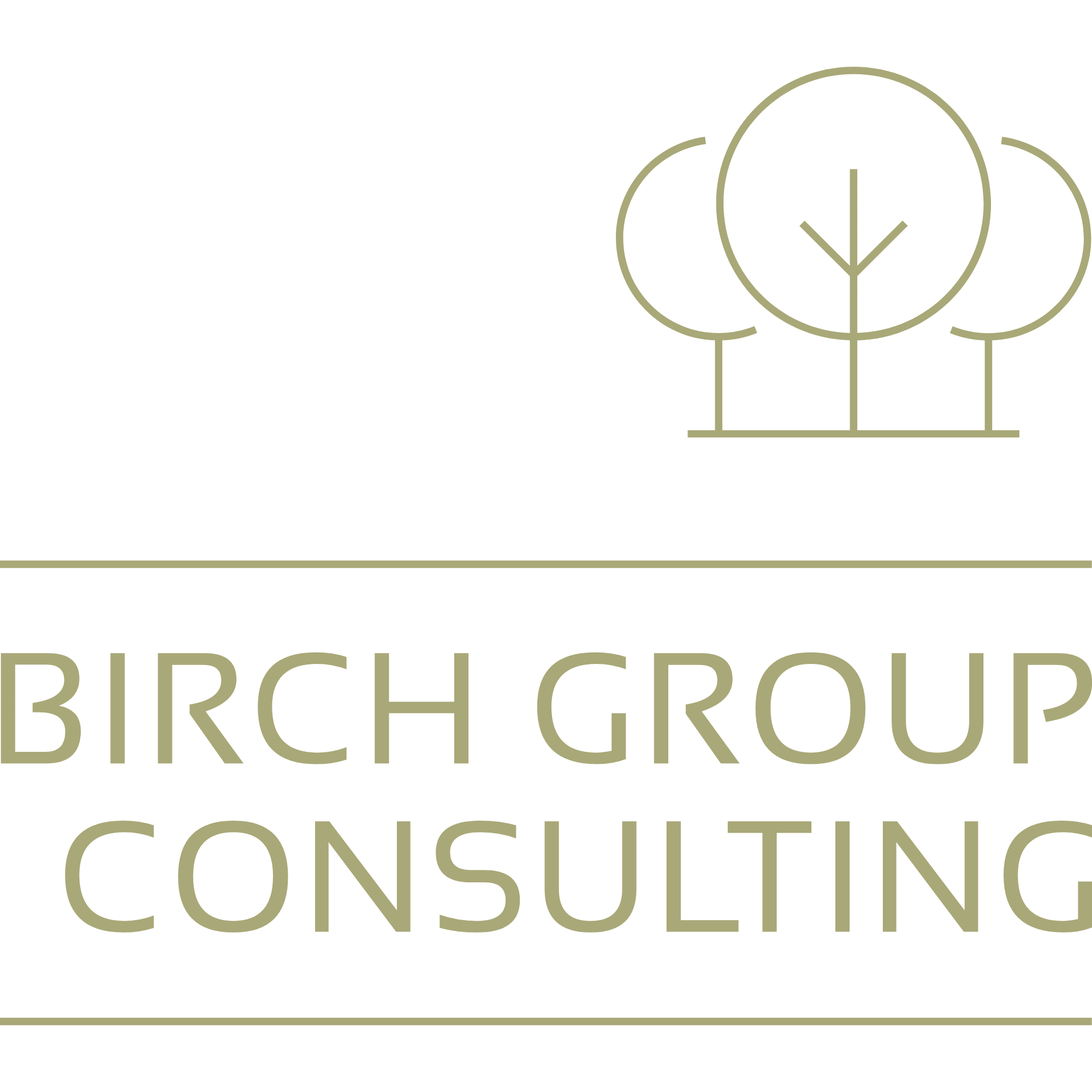 Writer: Birch Group Consulting
