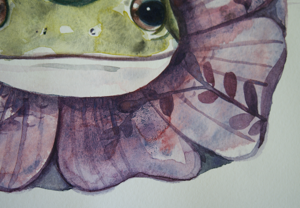 縮圖：“莉莉安娜”