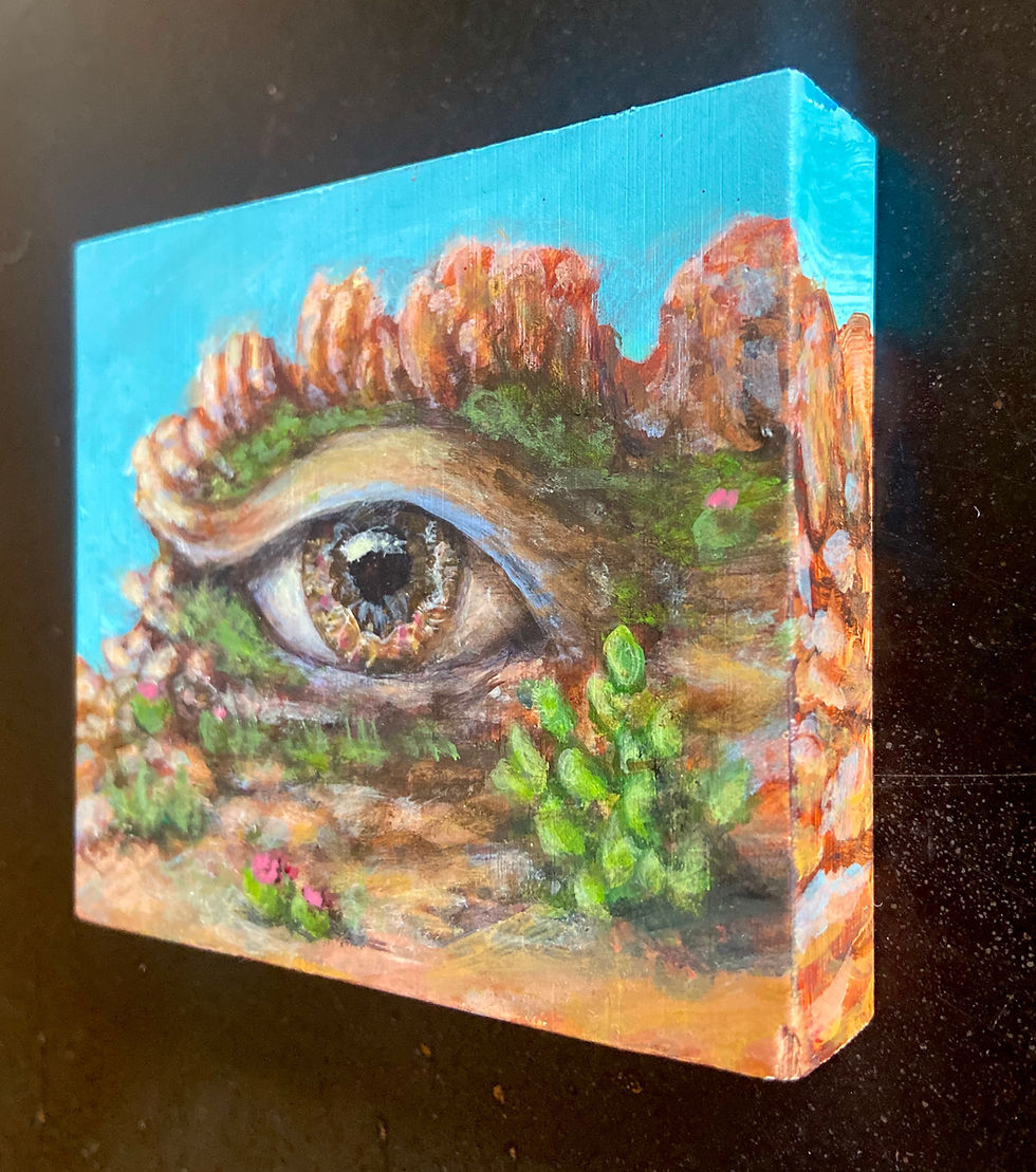 Thumbnail: Desert Eyescape - Original Painting