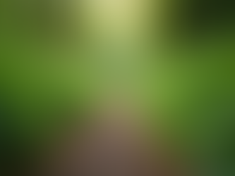 Transform Your Life: Join the Heal Responsibly Program