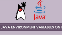 Setting up the Java environment variable on Linux