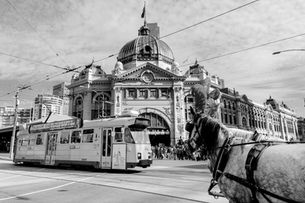 A guide to driving and transportation for migrants in Australia