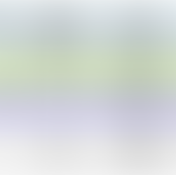 What are Designated Area Migration Agreements (DAMAs)?