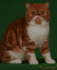 RocketsRedGlare047.jpg