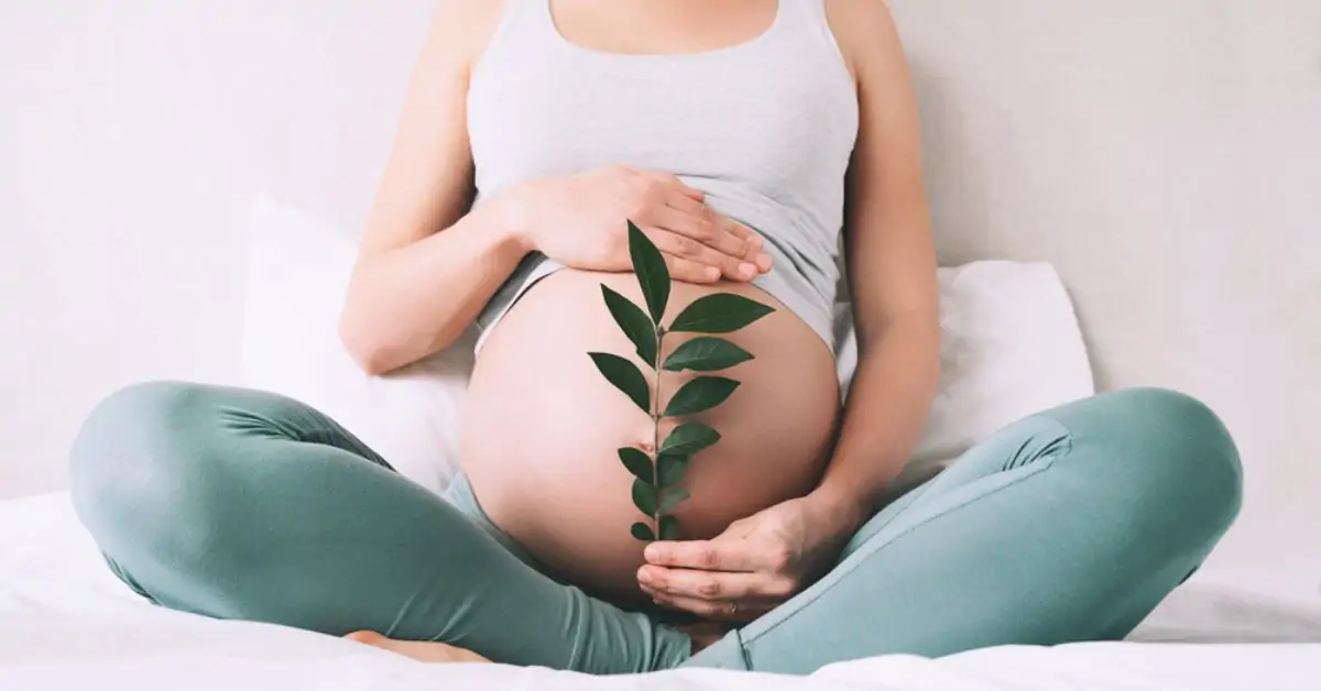 tomber enceinte grâce aux plantes