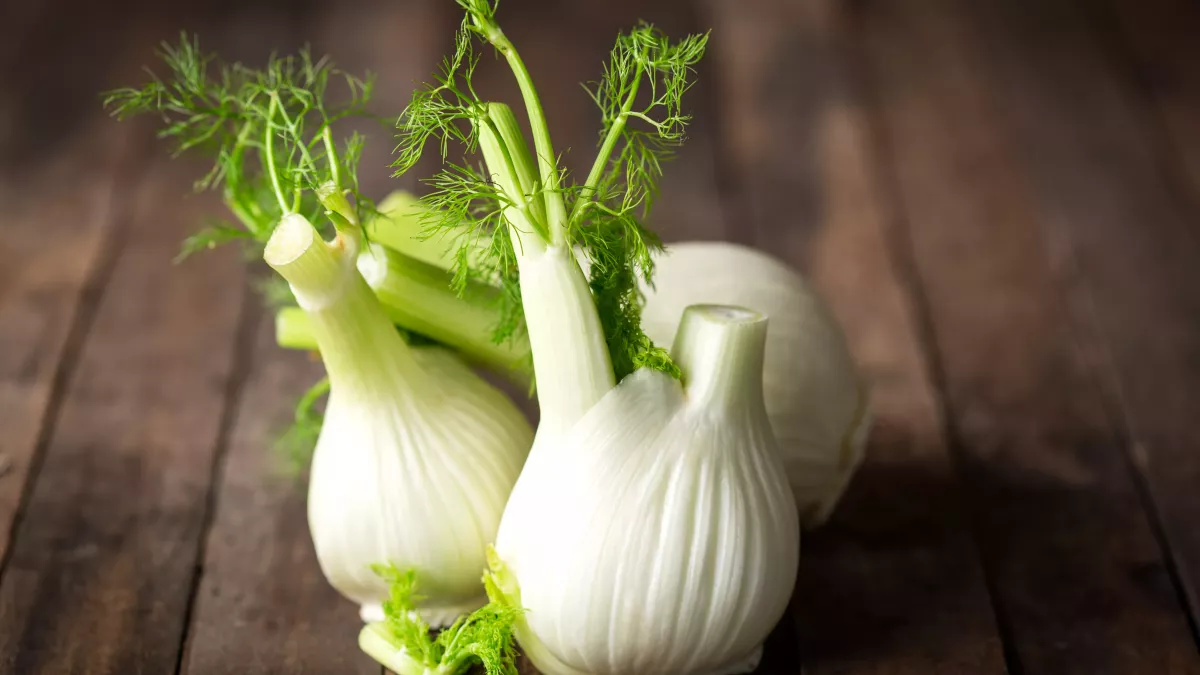 fenouil pour soulager les règles douloureuses