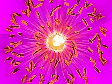 STAY TUNED FOR MY 1ST BLOG POST