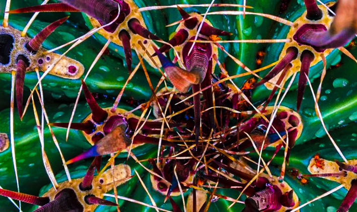 Feeding Time v.1 5.13x9.2.jpg