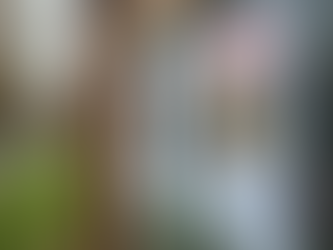 Finding Your Lost Pet: How Hope Four Paws Can Help Reunite You with Your Furry Friend