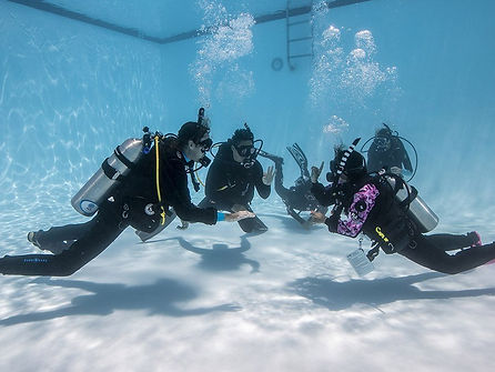 reactivate scuba diving Sharm El Sheikh
scuba refresher course Sharm El Sheikh
PADI reactivate Red Sea
diving refresher Sharm El Sheikh Egypt
scuba refresher dive Red Sea