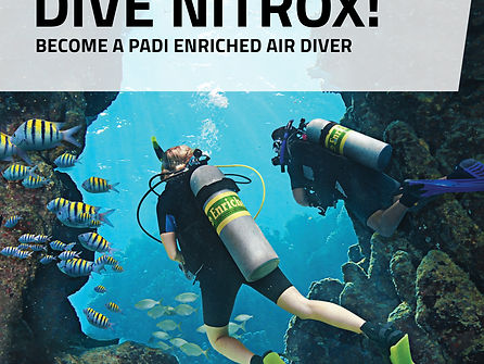 Nitrox diving course Sharm El Sheikh Red Sea
Enriched air diver training PADI Egypt