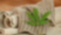 Hemp fabrics