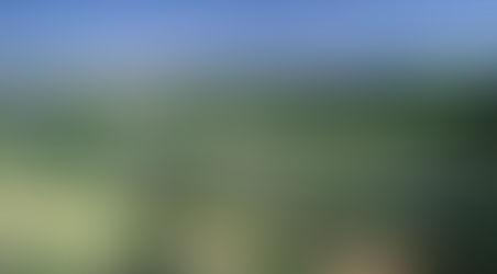 Eutrofização do Parque do Lago, Salto/SP, como funciona.