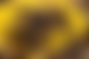 Empresa ÁREA AMBIENTAL - Consultoria em Meio Ambiente em parceria com a Escola Profº Antonio Berreta