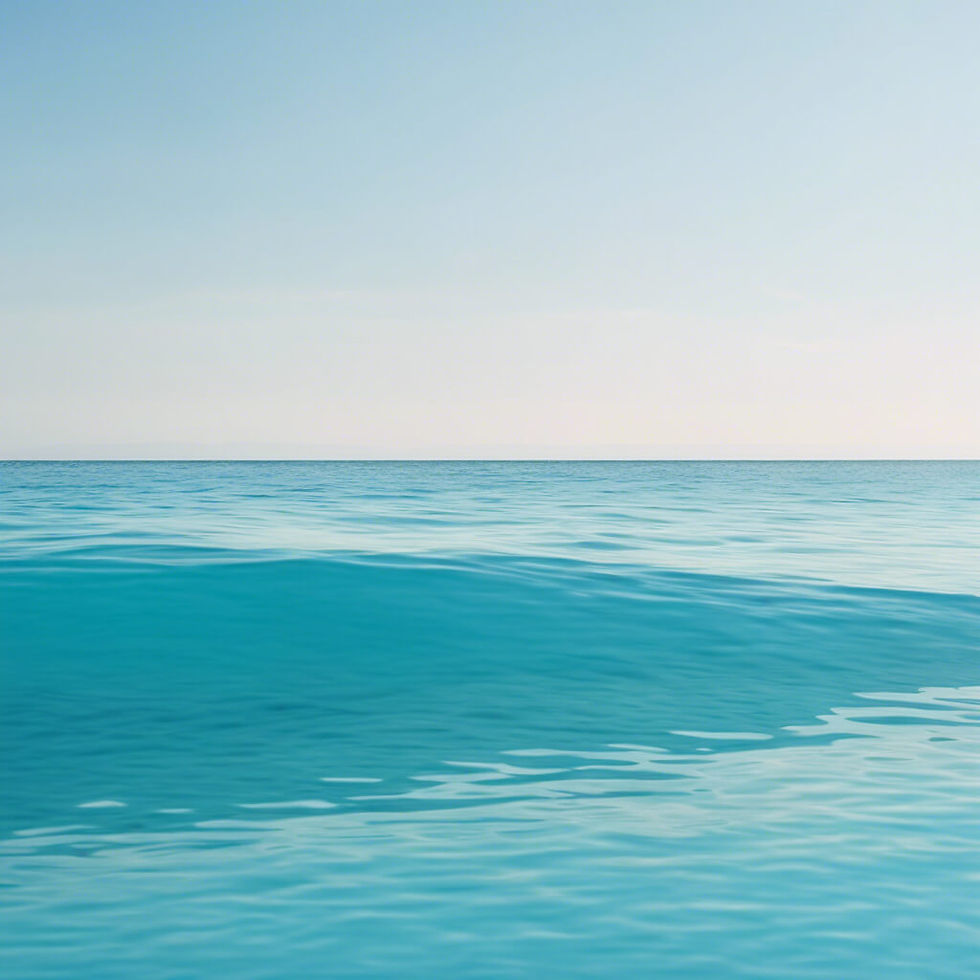 Understanding the Essentials of Emergency Plumbing Services in the Bay Area