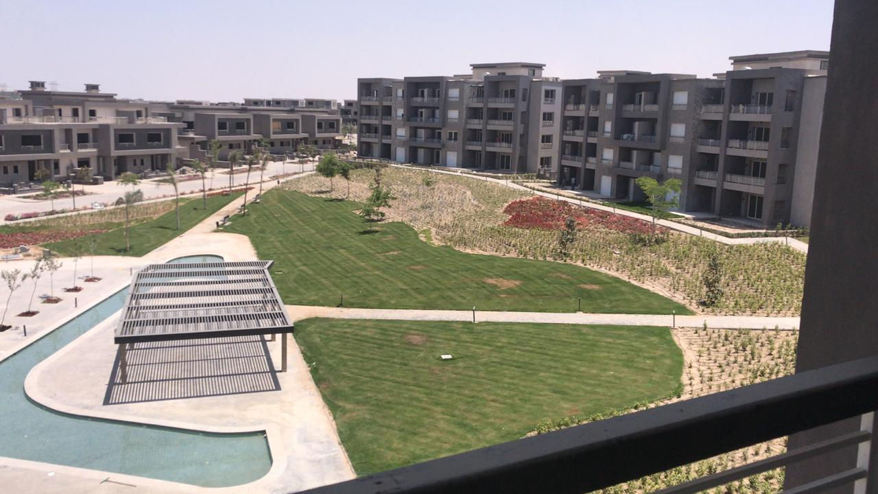 Jasper Hill , New Giza
