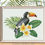 Thumbnail: The Toco Toucan (Ramphastos toco) PDF cross stitch pattern