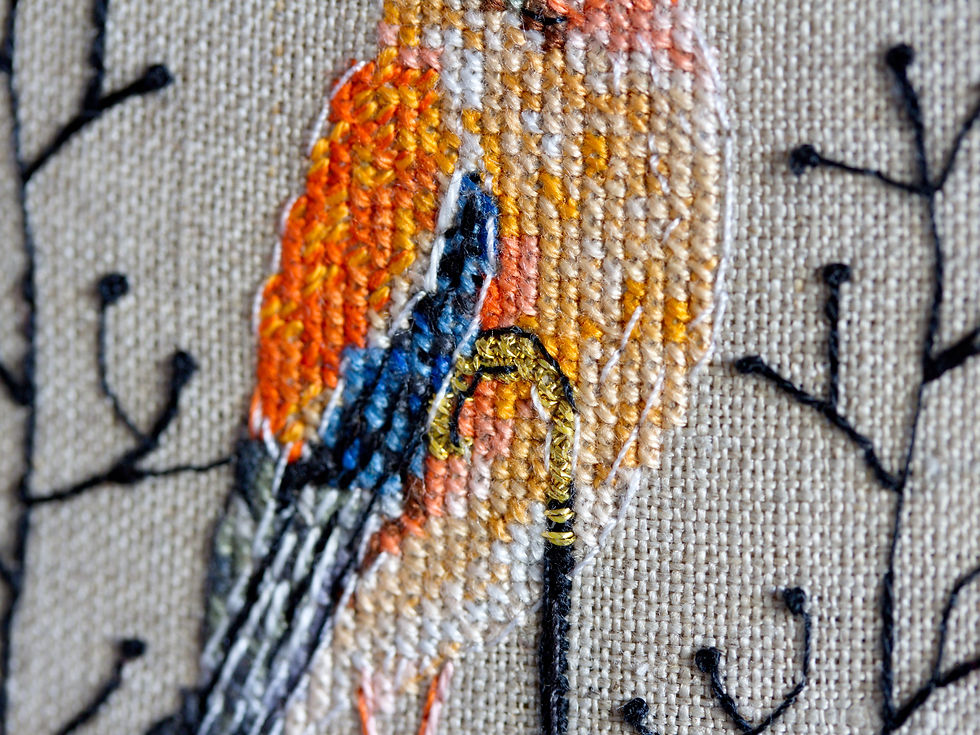 Thumbnail: Sir Eurasian Jay PDF cross stitch pattern