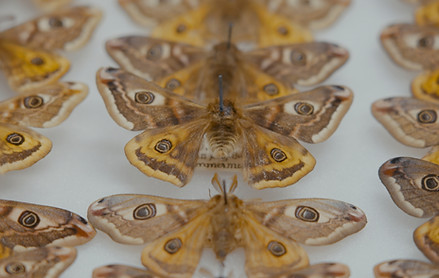 LFW 2025 (42)_edited.jpg